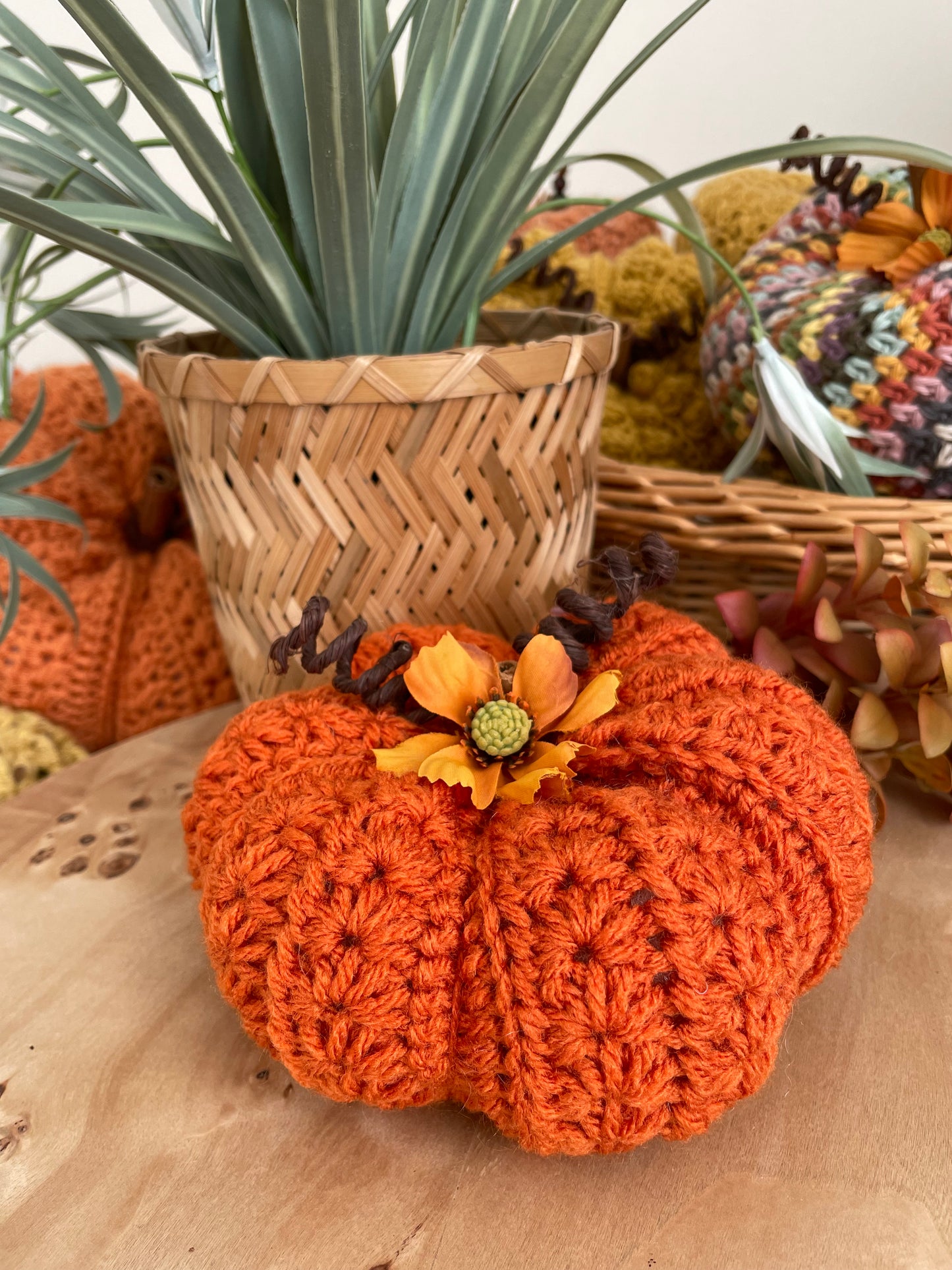 Star Pumpkin