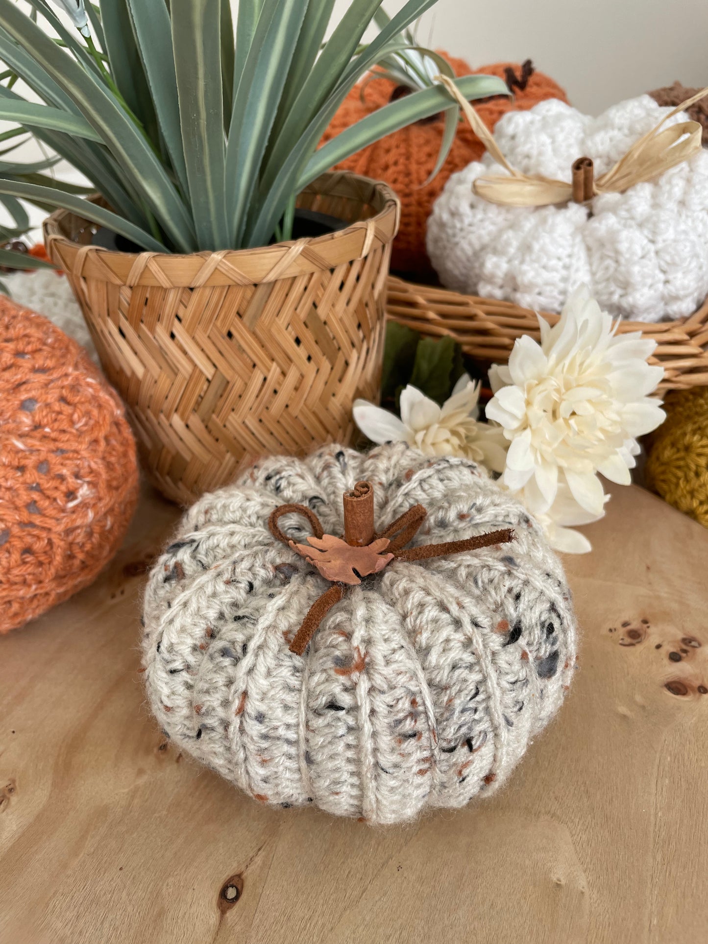 Ribbed Pumpkin - multiple colors